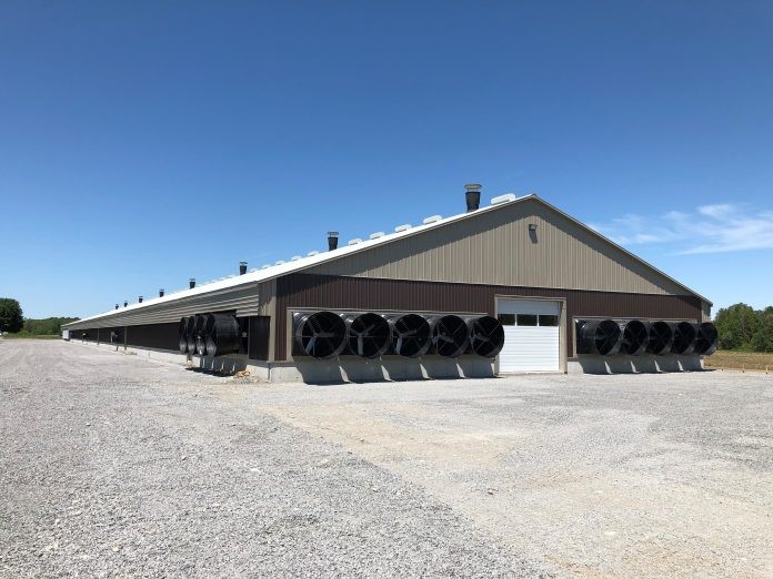 1673431751623785.jpg 1673431751623785.jpg