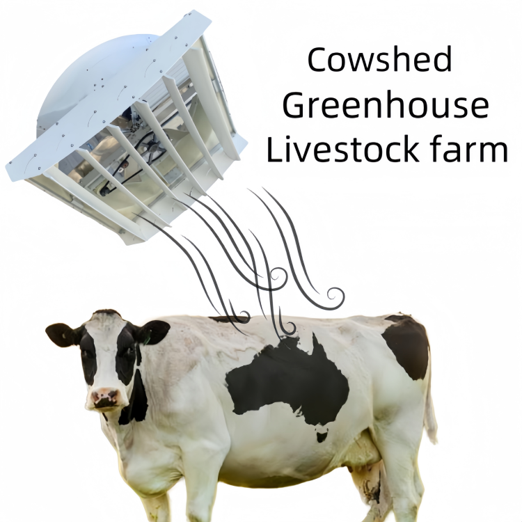 Cyclone Fans DH-DD36