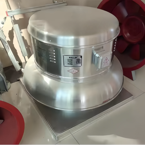 DWT-I Stainless Steel Roof Fans